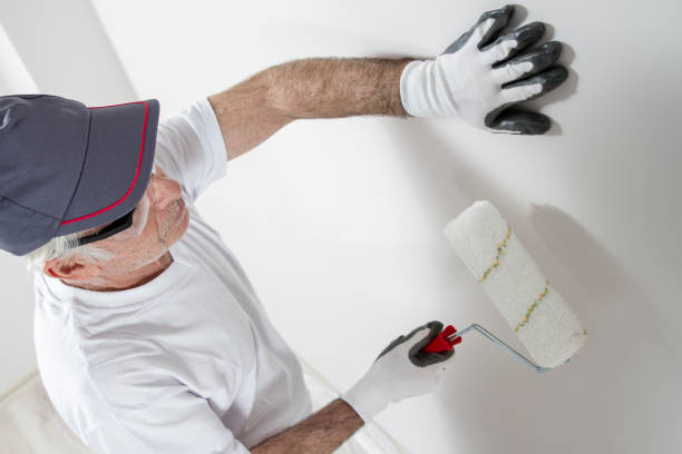 Best Drywall Repair  in USA